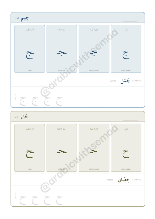 Arabic Letter Forms & Tracing Cards | Printable PDF